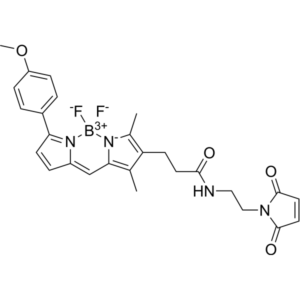 BDP TMR maleimide 2183473-34-7